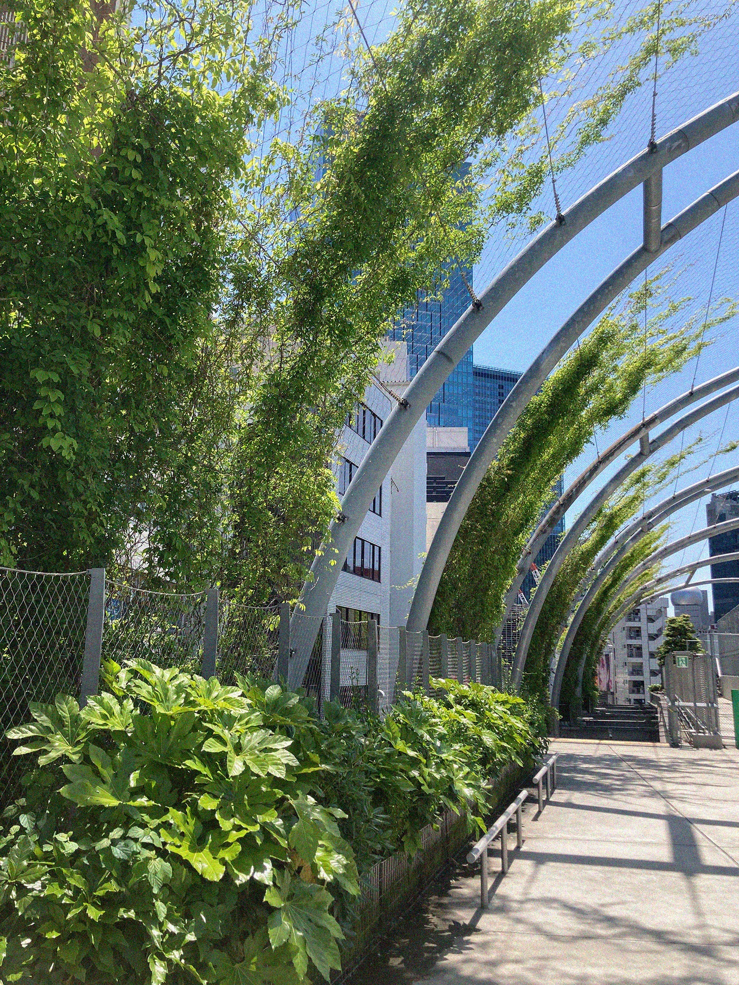 One month @ MIYASHITA PARK / May 2024